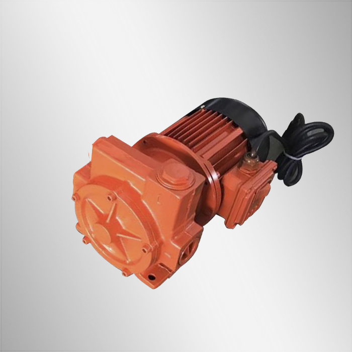 Diesel Transfer pump AC 220V 1"